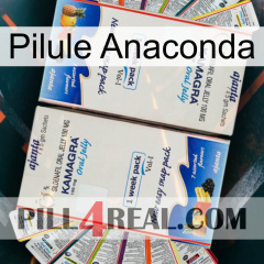 Anaconda Pill kamagra1